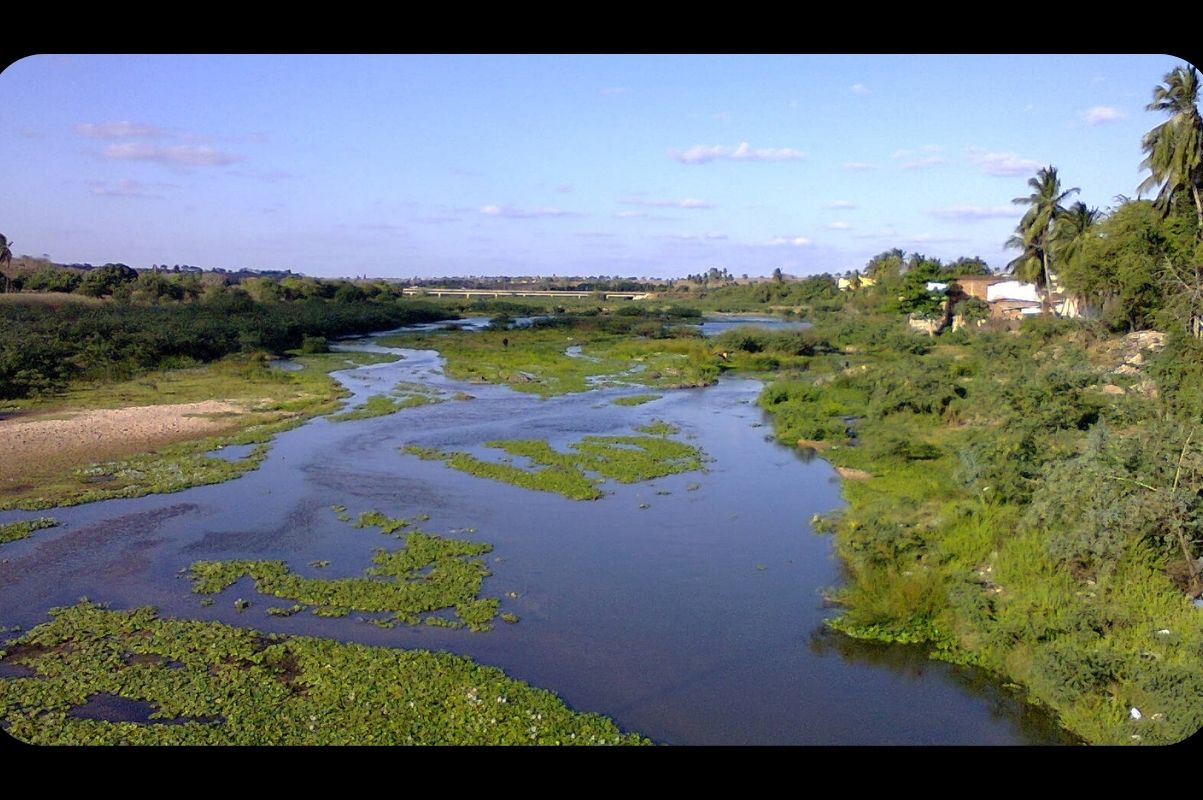 Design padrão Rádio (16).jpg