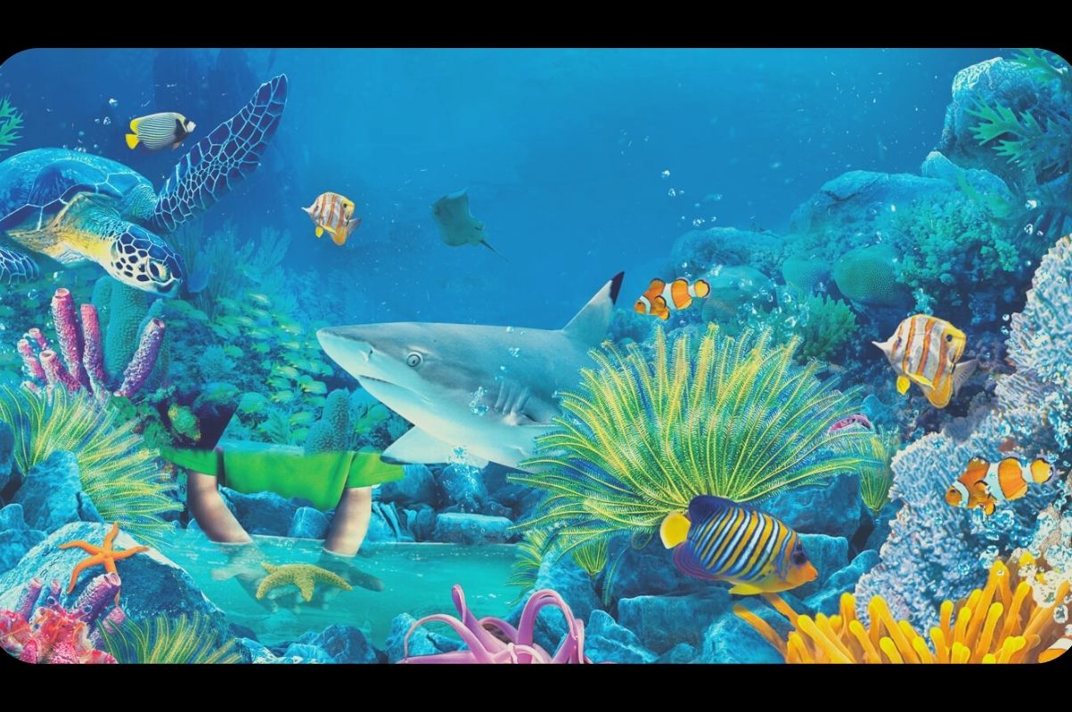 Design padrão Rádio - 2022-01-07T153246.231.jpg