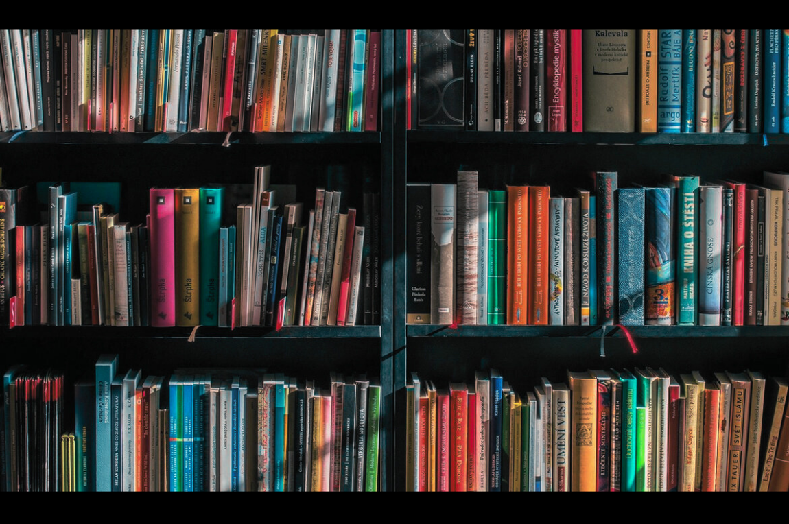 Governo seleciona 27 escritores para lançamentos na XV Bienal Internacional do Livro de Pernambuco