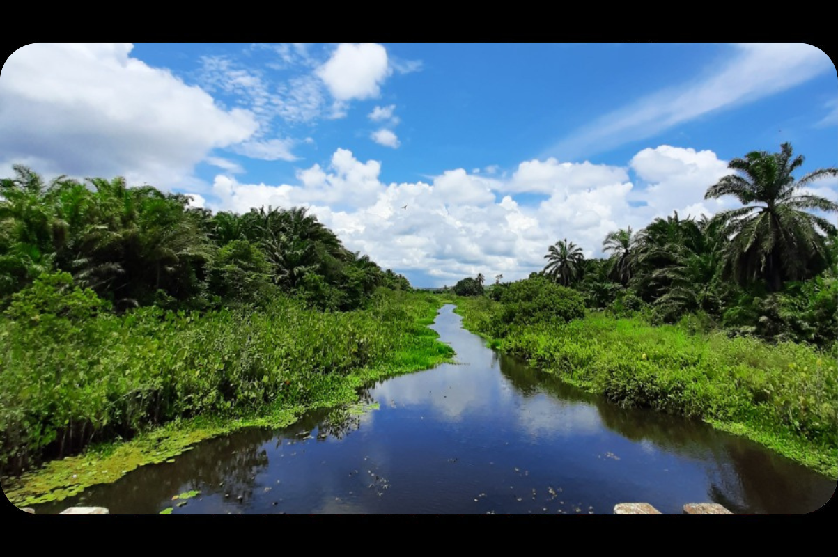 Design padrão Rádio (2).png